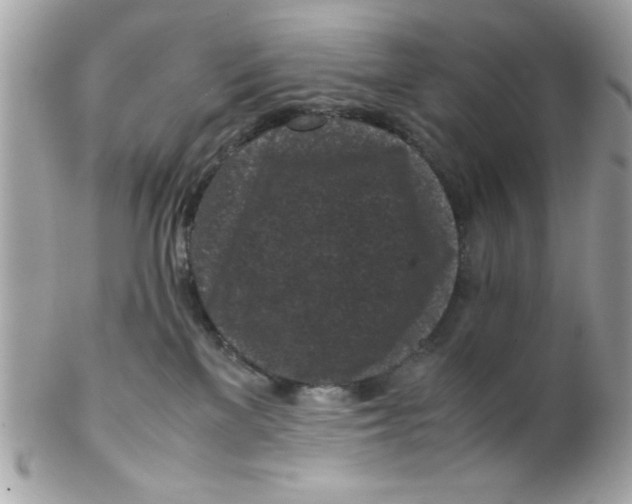 X0000102300137200808152027