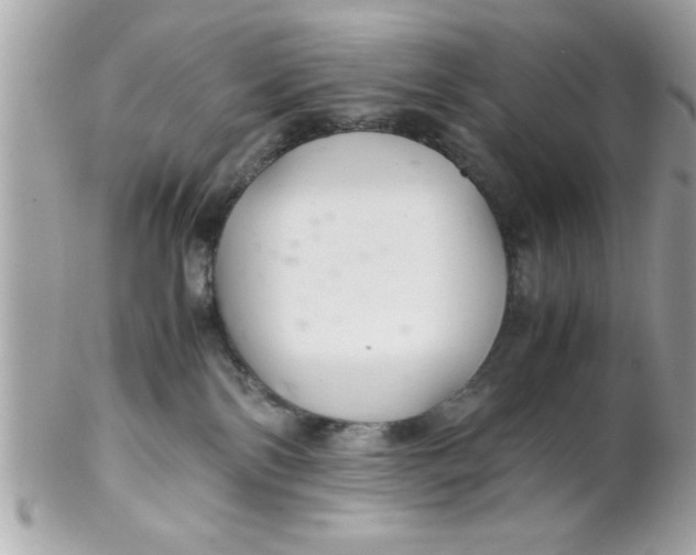 X0000102300138200808152027