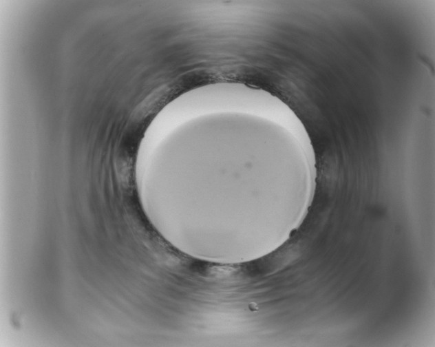 X0000102300139200808152027