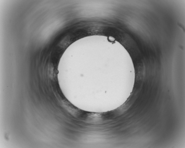X0000102300140200808152027