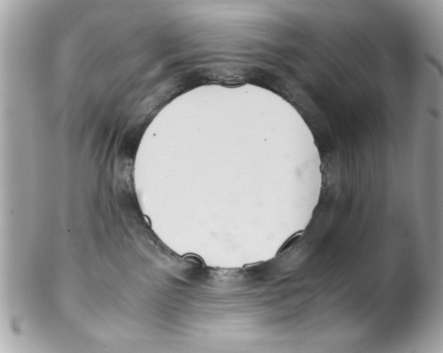 X0000102300141200808152027
