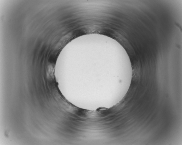X0000102300142200808152027