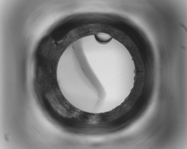 X0000102300143200808152027