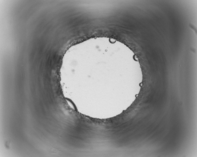 X0000102300144200808152027