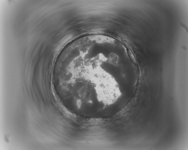 X0000102300145200808152026