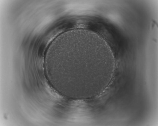 X0000102300146200808152026
