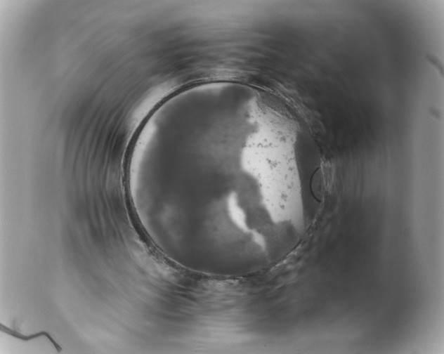 X0000102300147200808152026