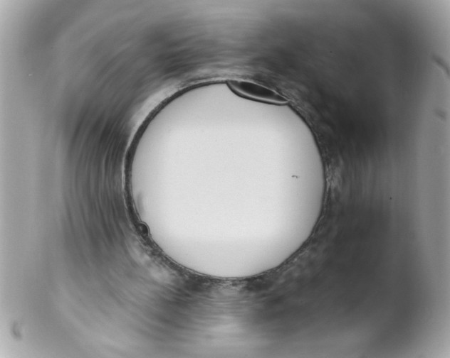X0000102300148200808152026