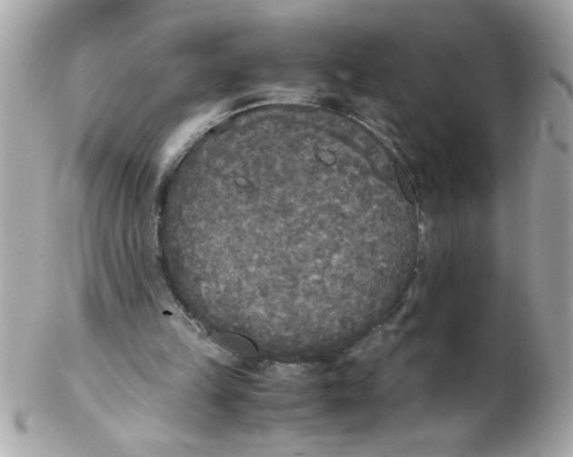 X0000102300149200808152026