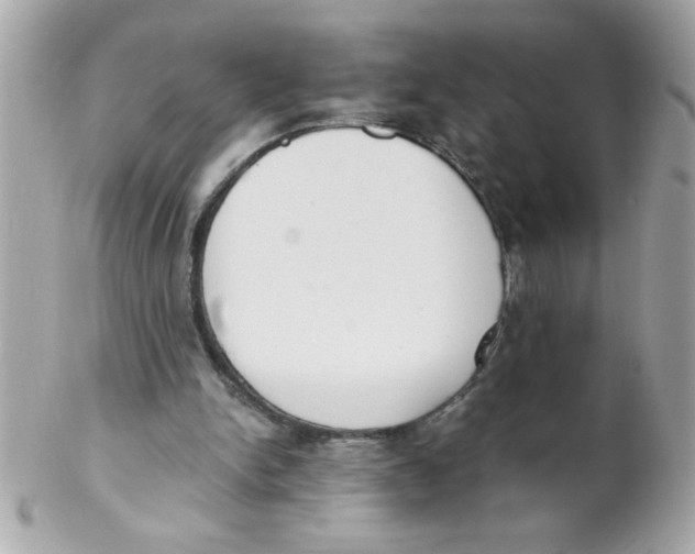 X0000102300150200808152026