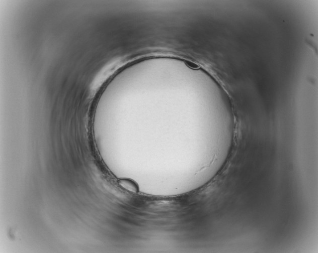 X0000102300151200808152026