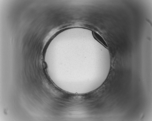 X0000102300152200808152026