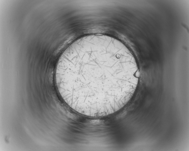 X0000102300153200808152026