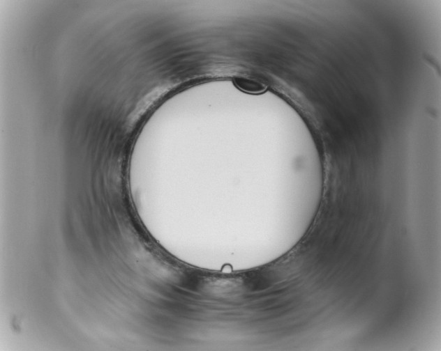 X0000102300155200808152026