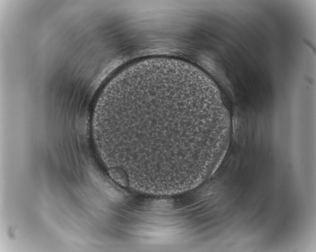 X0000102300156200808152026