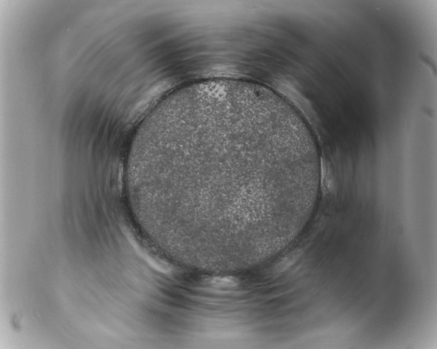 X0000102300157200808152026