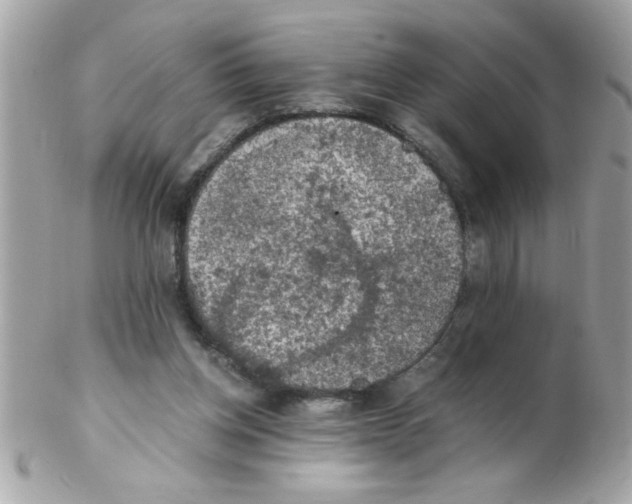 X0000102300158200808152026