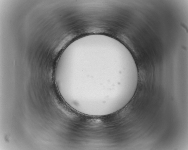 X0000102300159200808152026