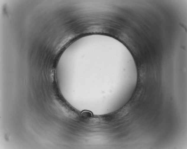 X0000102300160200808152026