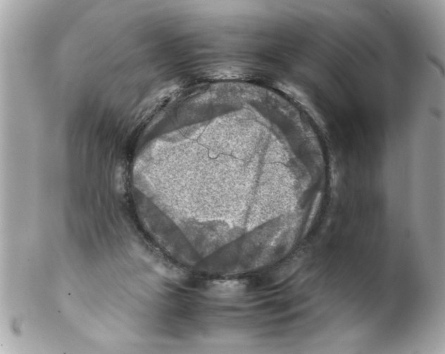 X0000102300161200808152026