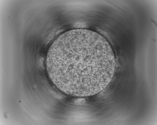 X0000102300162200808152026