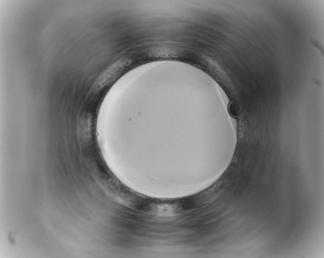 X0000102300163200808152026