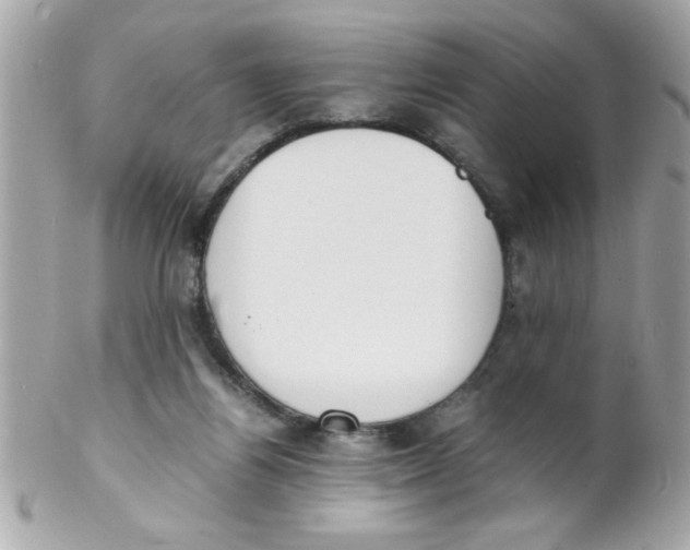 X0000102300164200808152026