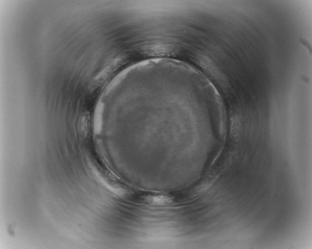 X0000102300165200808152026
