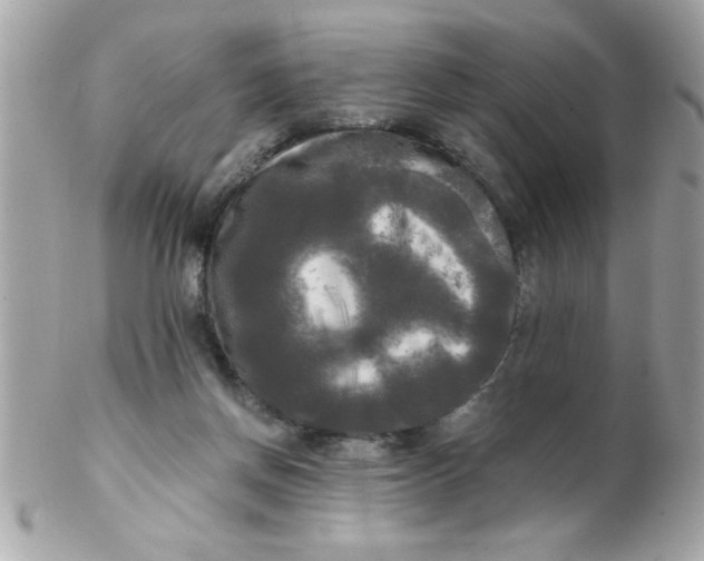 X0000102300166200808152026