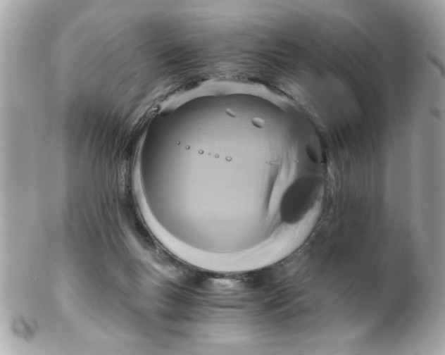 X0000102300167200808152026