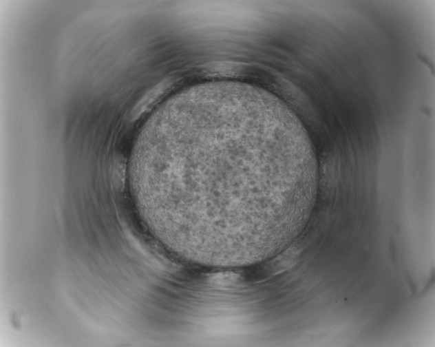 X0000102300168200808152026