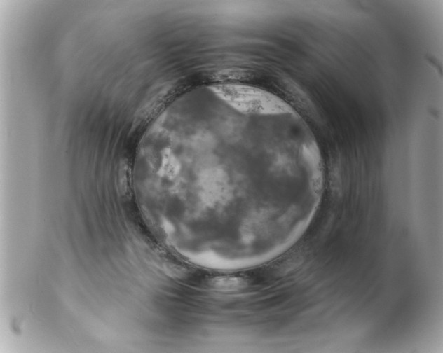 X0000102300169200808152026