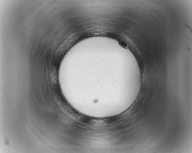 X0000102300170200808152026