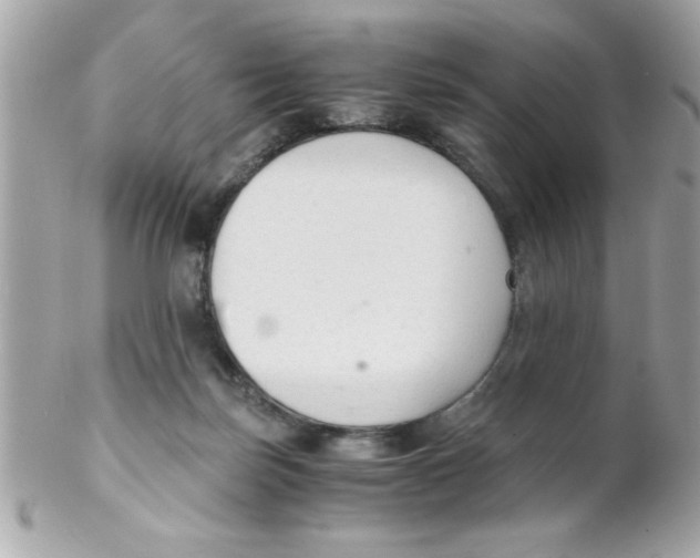 X0000102300171200808152026