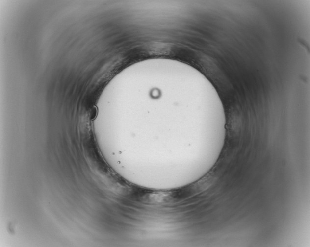 X0000102300172200808152026