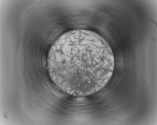 X0000102300173200808152026