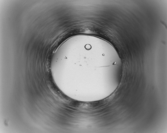 X0000102300174200808152026