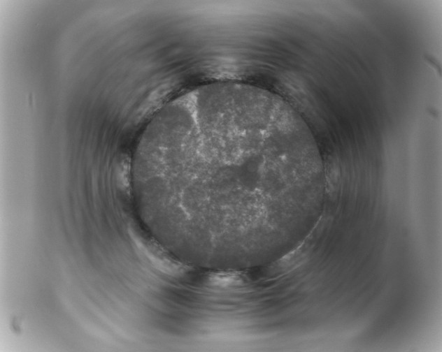 X0000102300175200808152026