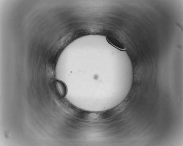 X0000102300176200808152026