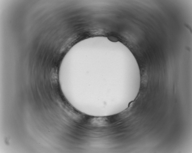 X0000102300179200808152026