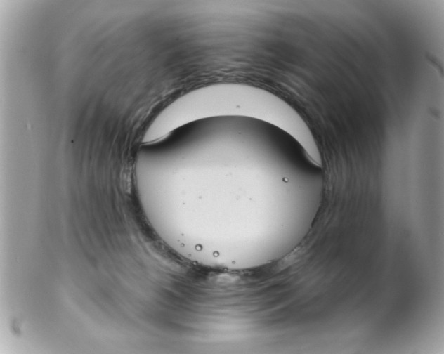 X0000102300180200808152026