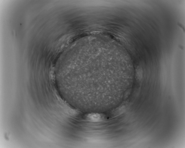 X0000102300181200808152026