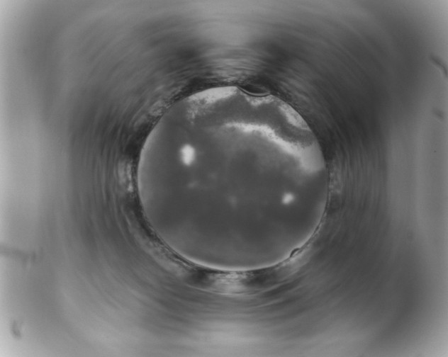 X0000102300182200808152026