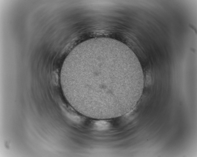 X0000102300183200808152026