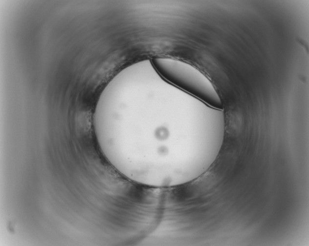 X0000102300184200808152026
