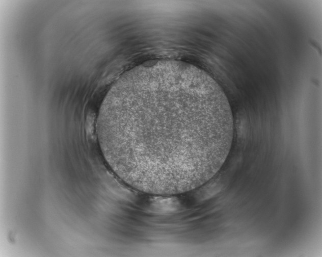 X0000102300185200808152026