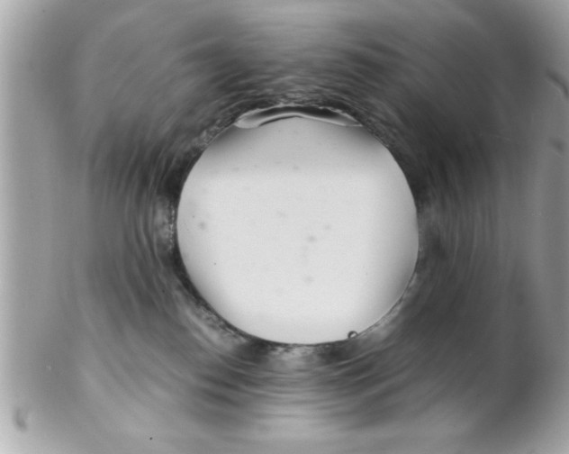 X0000102300186200808152026