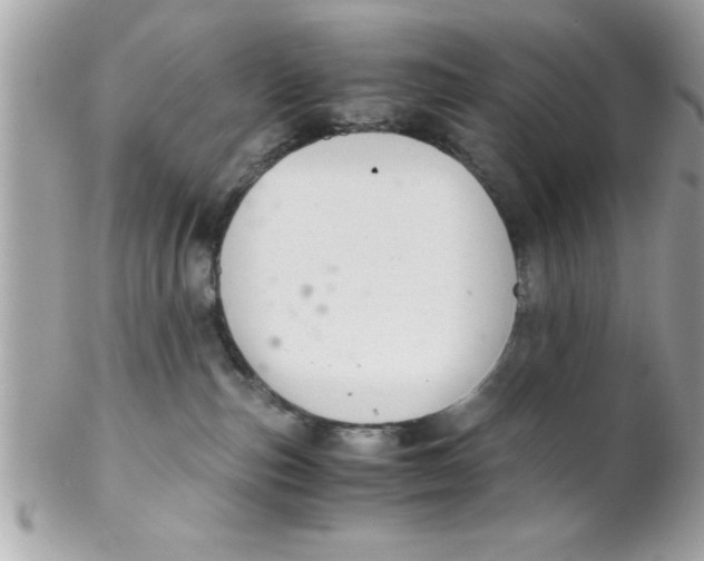 X0000102300187200808152026