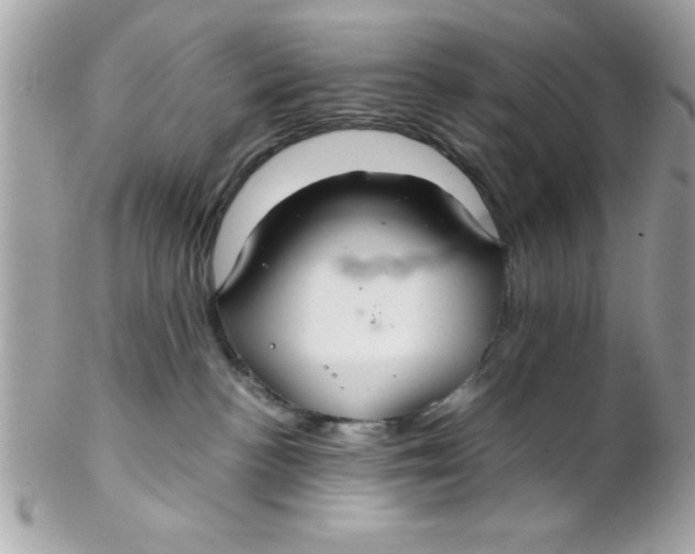 X0000102300188200808152027