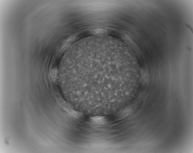 X0000102300189200808152027